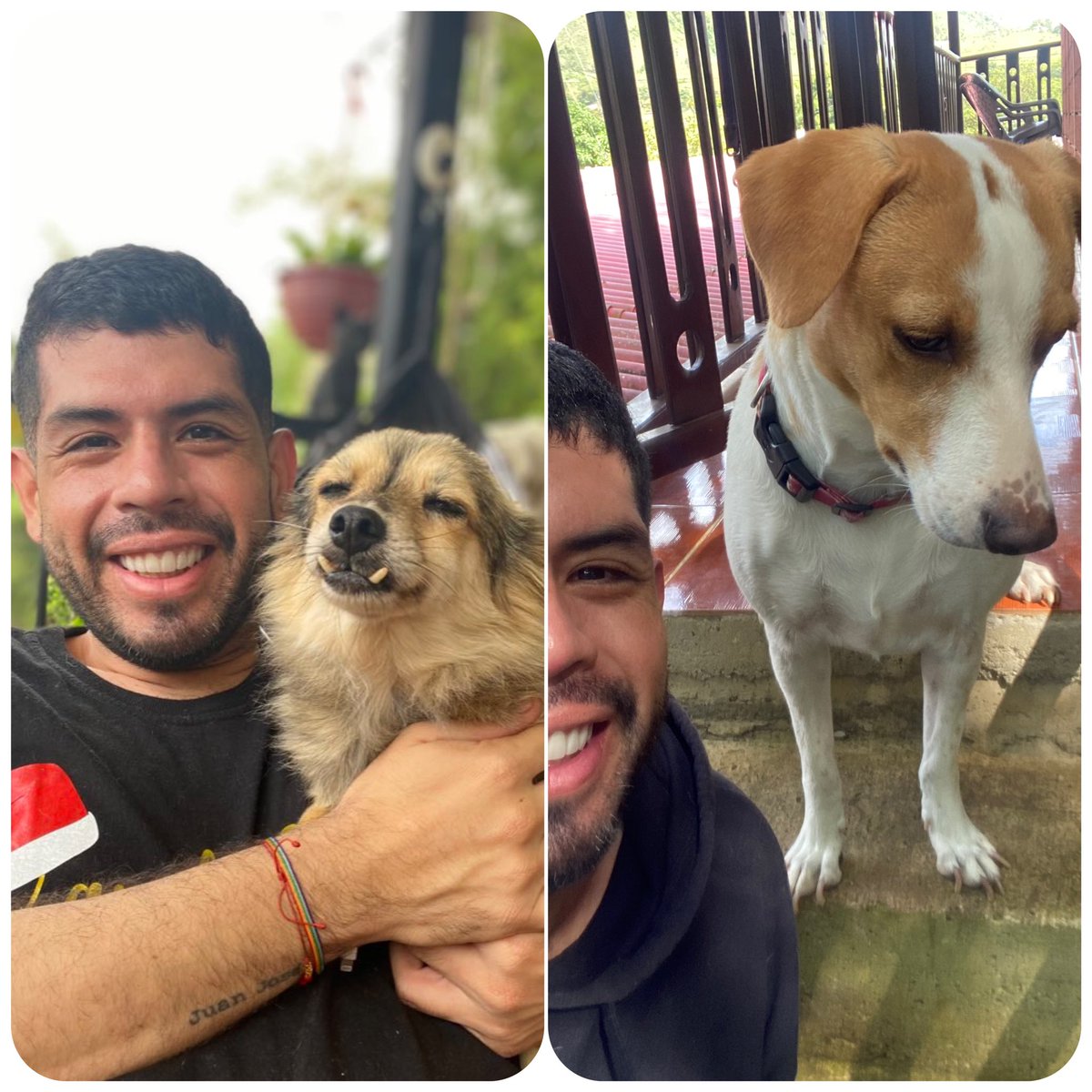 Camilo Chará Guevara tweet media