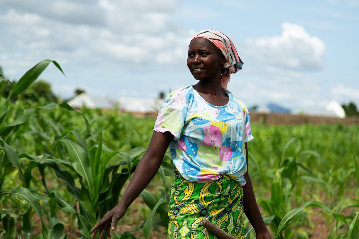 Data is power! Collecting disaggregated data on women's energy needs & participation informs effective policy & program design for an inclusive #ClimateActionUg. #DataForGood