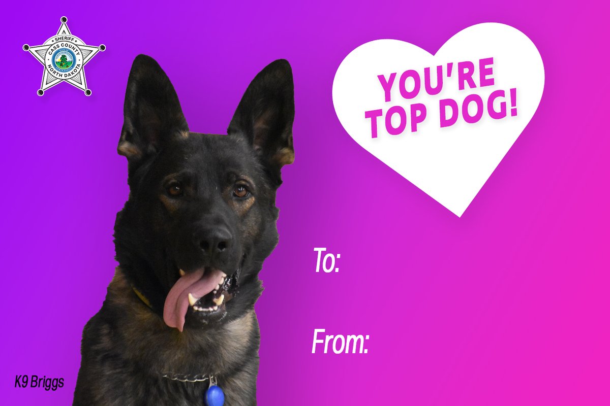 K9 Griggs would like to wish everyone a safe and happy Valentine’s Day! If you need any last-minute Valentine’s Day cards, Griggs has you covered!