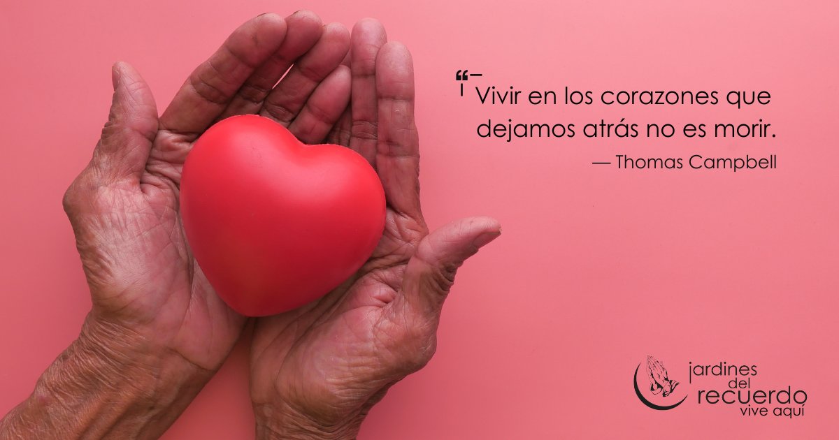 JardinesDelRecuerdo tweet media