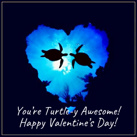 Happy Valentine’s Day from National Save the Sea Turtle Foundation! ❤️ Spread some sea turtle love! ➡️ savetheseaturtle.org #seaturtle #education #awareness #protection #savetheseaturtles #seaturtlelove #extinctionisforever #ValentinesDay