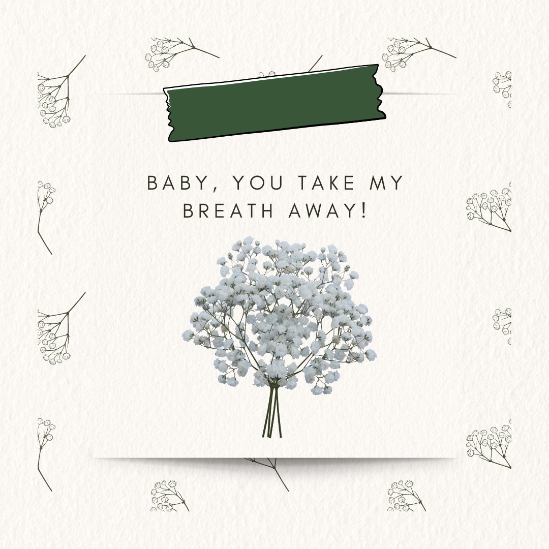 ABInvasives's tweet photo. Show your love for biodiversity!💚🌳🐢🪲 Spread love💕, not #invasives!🛑

Here's a a few more of our Valentine's cards to share with your loved ones!
#happyvalentinesday2024 #GrowMeInstead #SquealOnPigs https://t.co/NQ5lwkDhuf