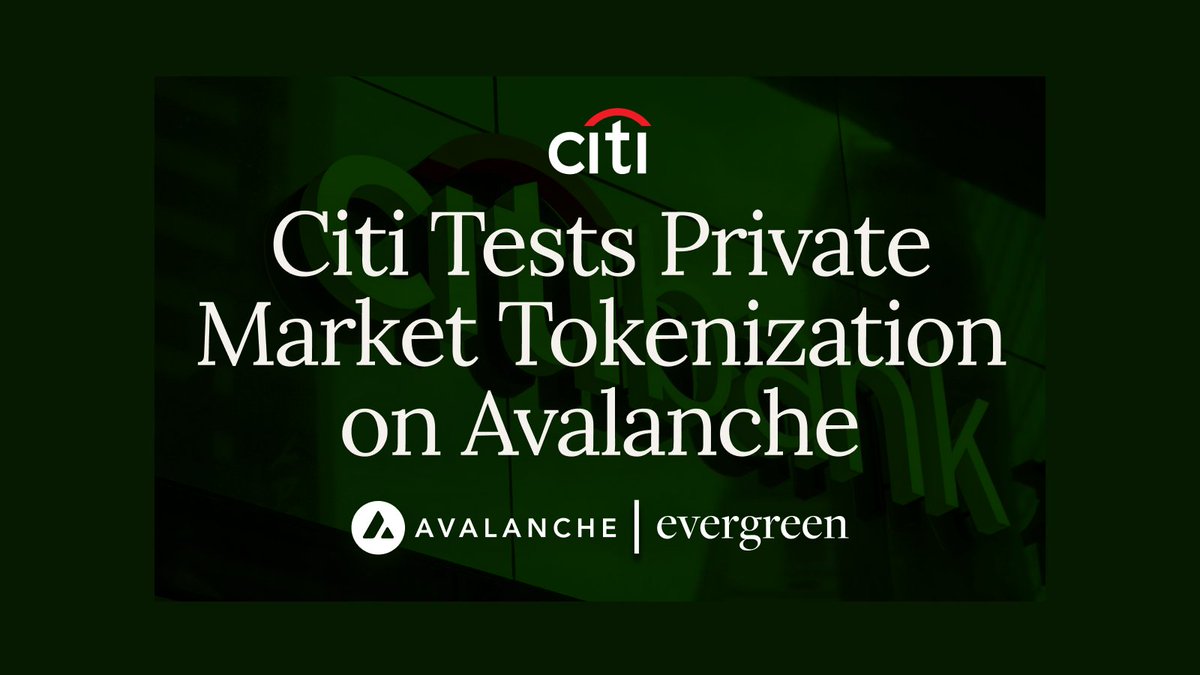 Less than a year ago, Ava Labs launched Avalanche Spruce, an Evergreen Subnet purpose-built for buy- and sell-side institutions to measure the benefits of on-chain finance.

Today marks a major update to these efforts as <a href="/Citi/">Citi</a> and DTCC Digital Assets join the network and test the