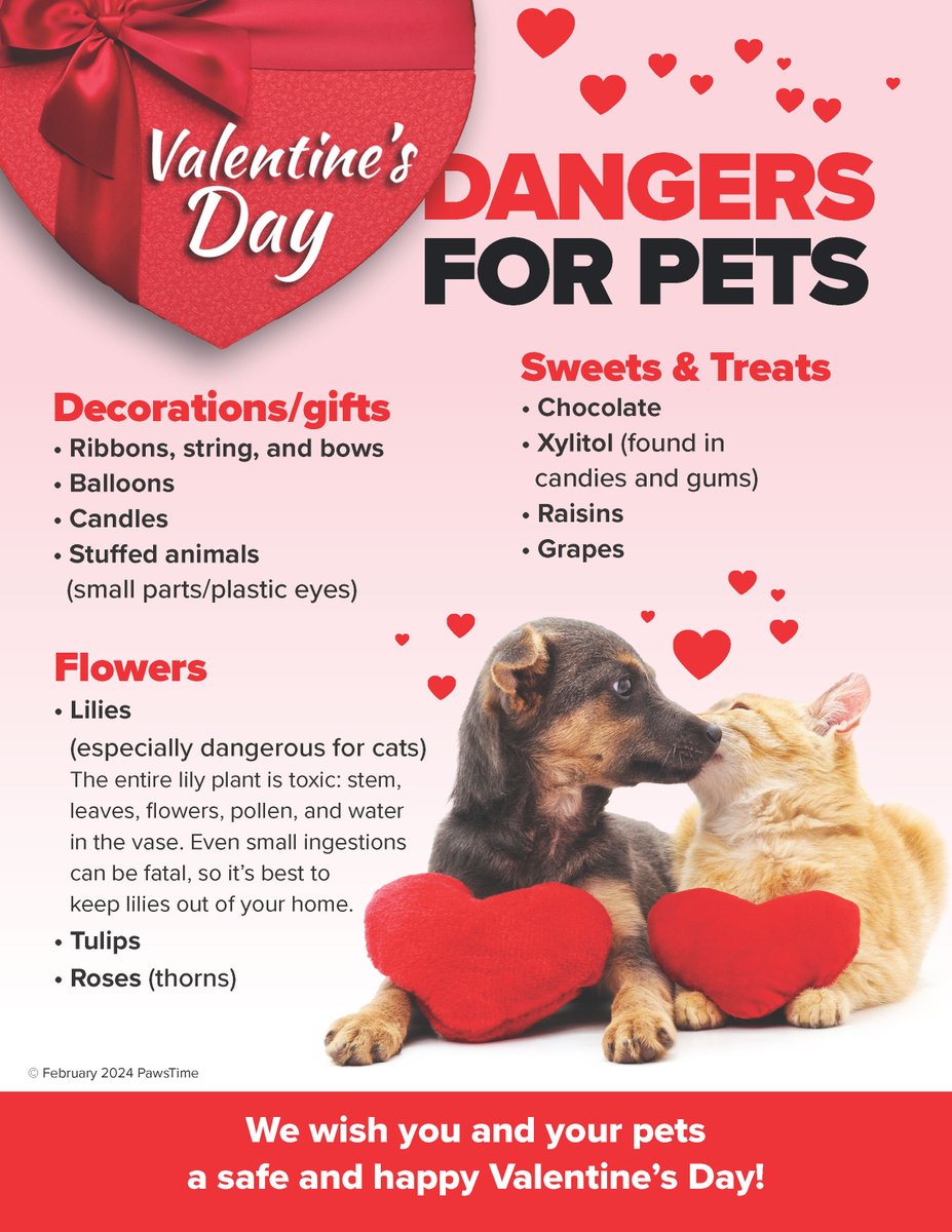 Be aware of dangers for pets during this Valentine's Day.

#BocaPalmsAnimalHospital #BocaRaton #Veterinarian #AnimalHospital #PetVaccinations #BoardingServices #PetSurgery #PetMicrochipping #ExoticVet #AvianVet #NoseToTail