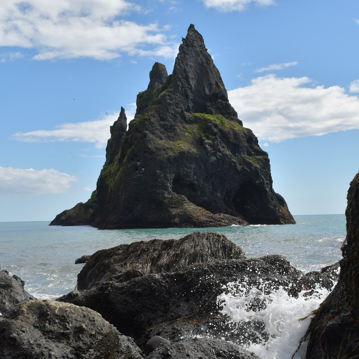 steven_gehring's tweet photo. In Vík í Mýrdal, einem malerischen Ort an der Südküste Islands, erhebt sich ein markanter Felsvorsprung namens "Reynisfjara" aus dem Meer.

#IslandAbenteuer #Reynisfjara #IslandEntdecken #IslandNatur #ReiseNachIsland  #SüdküsteIslands #IslandErleben 🏝️🔍

📸 Michał Parzuchowski https://t.co/IzgCsPBZ1G