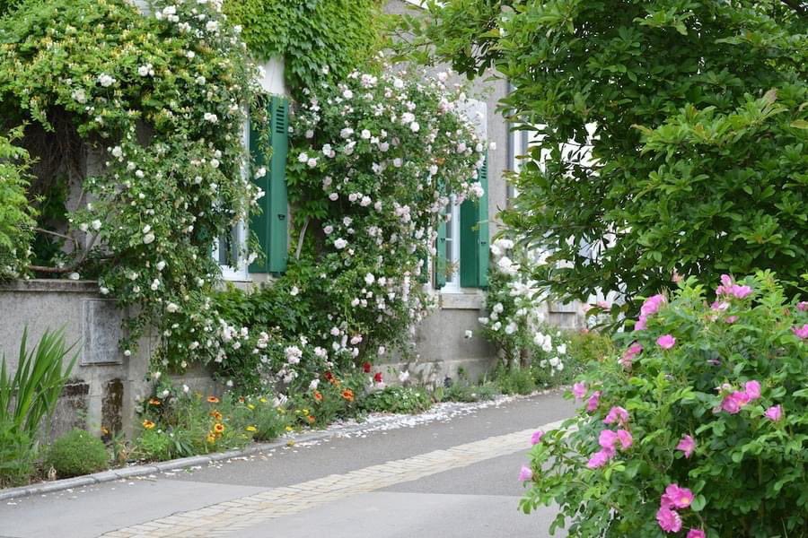 Chédigny en Centre-Val de Loire, seul village de France classé 'Jardin remarquable' , près de Tours et du château de Chenonceaux 💖