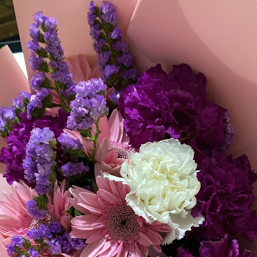 httpskisha's tweet image. 🩷