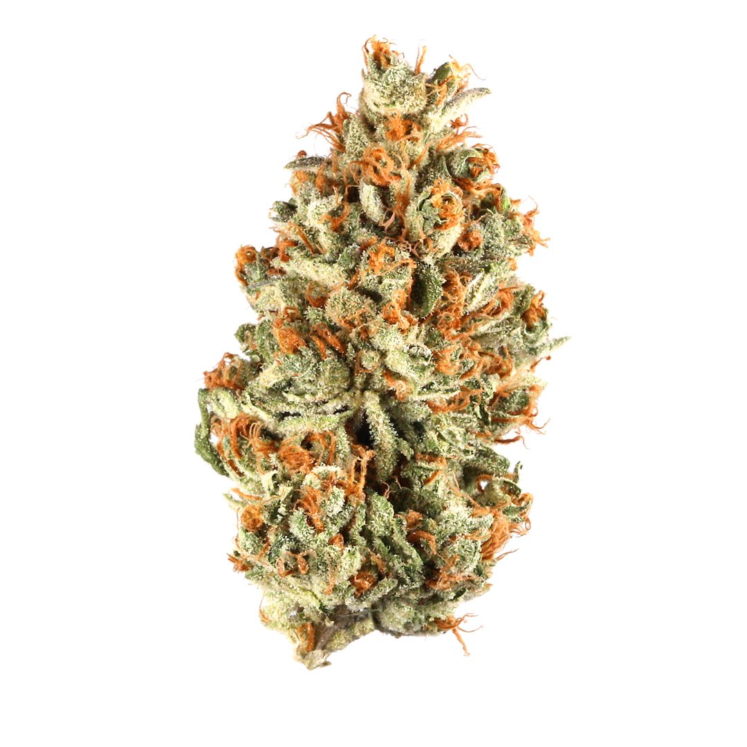 Today's Strain of the Day!

Project Blue Book

Type: Hybrid

Mood: Happy, Uplifted, Creative, Focused, Talkative.

Flavors: Sweet, Earthy, Flowery.

See you tomorrow and don't forget, the first pack is free with a wax discord.gg/2wBX2f28PG 

#NFX #WAX #WAXHEAD #WAXMEUP