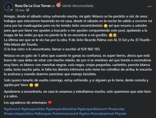 CanelaSour's tweet photo. No sé qué más hacer amigos, estoy desesperada por encontrar a mi gato u_,u ayúdenme compartiendo el post por favor, si tienen tips para búsquedas efectivas, contactos para búsquedas, abierta a toda ayuda, les agradezco de antemano, solo quiero a mi gordito de vuelta 😪 https://t.co/JpzusIWcJU