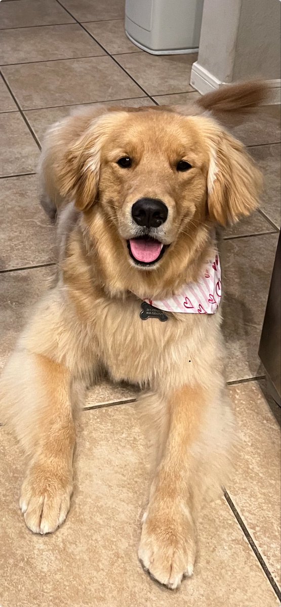 Happy third birthday to this goofy valentine.