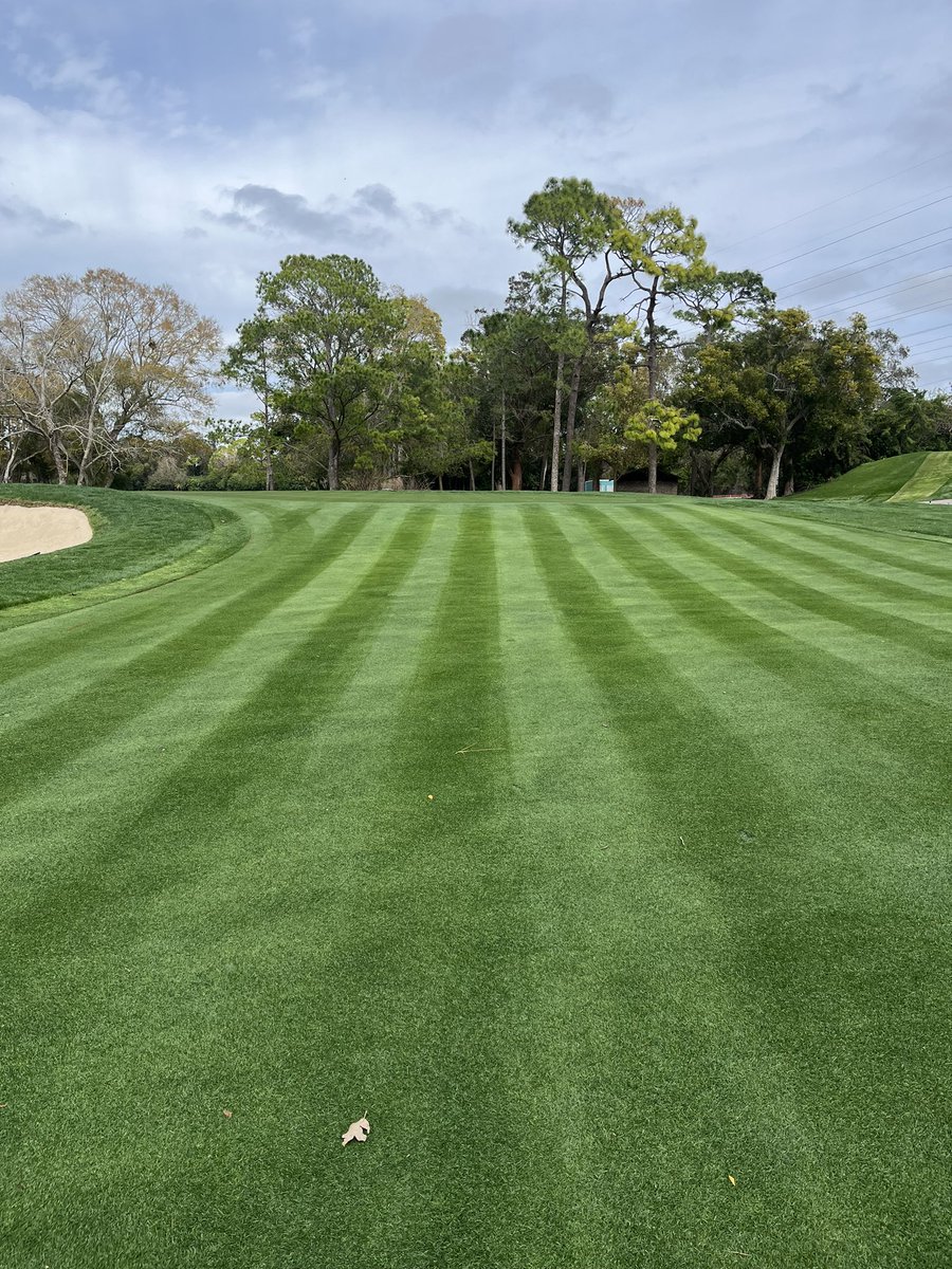 rardoryan80's tweet photo. Valspar getting close! Getting the golf course ready, started mowing dry this week @ValsparChamp @Innisbrook https://t.co/4uc3vX4L82
