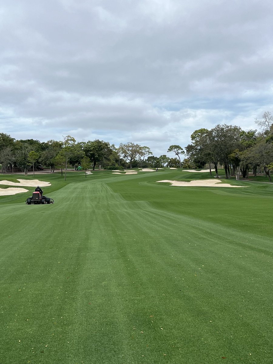 rardoryan80's tweet photo. Valspar getting close! Getting the golf course ready, started mowing dry this week @ValsparChamp @Innisbrook https://t.co/4uc3vX4L82