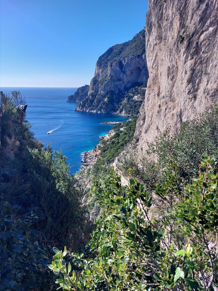 YGG Mrs C Jenkins tweet media