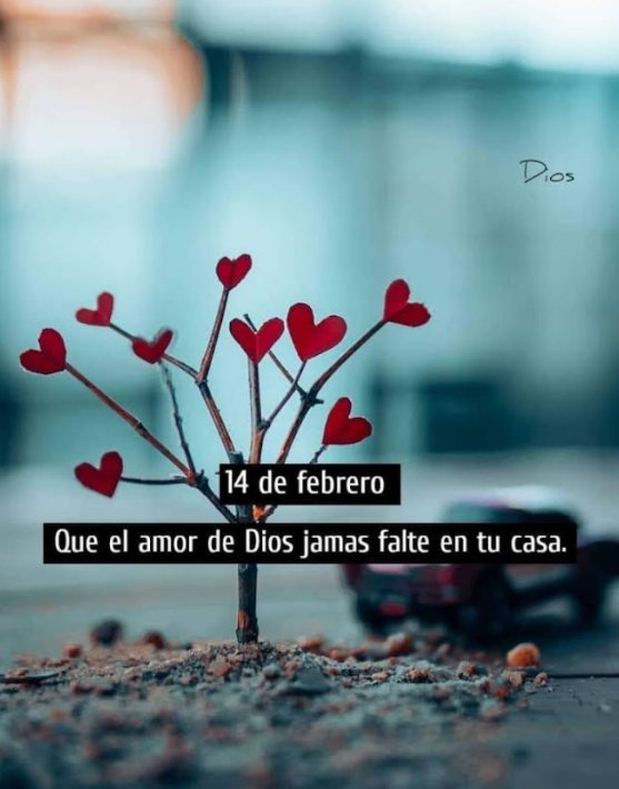 Pat__tricia's tweet photo. ¡Buenas tardes!
Deseando para tod@s
Feliz San Valentín ❤️ https://t.co/SEjPYBAiTY