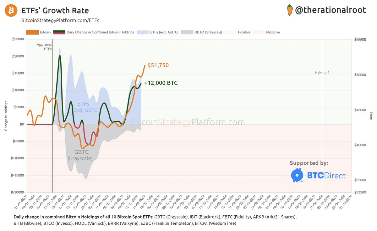 Root 🥕 tweet media