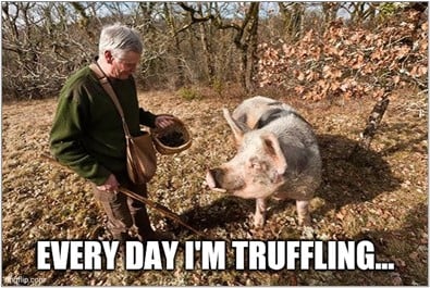 'So how do you know if you have buried secrets hiding in the vast digital landscape of your organization? Easy. You employ a truffle hog.'

Rooting For Secrets with TruffleHog 
by: @cstraynor
Published: 1/18/2024
Learn more: blackhillsinfosec.com/rooting-for-se…