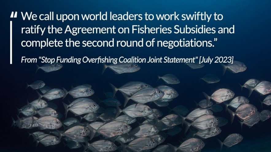 🌊 🐟 Less than 2 weeks!
.
@WTO, so much is on the line. It's time to confront fleet overcapacity and overfishing with stronger rules. Our ocean's future hangs in the balance. pew.org/42bgytB