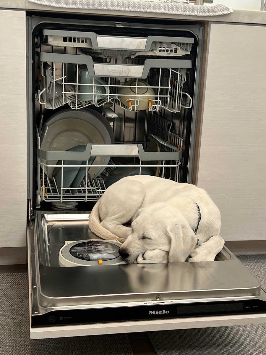 Bobby being a big help with the dishes