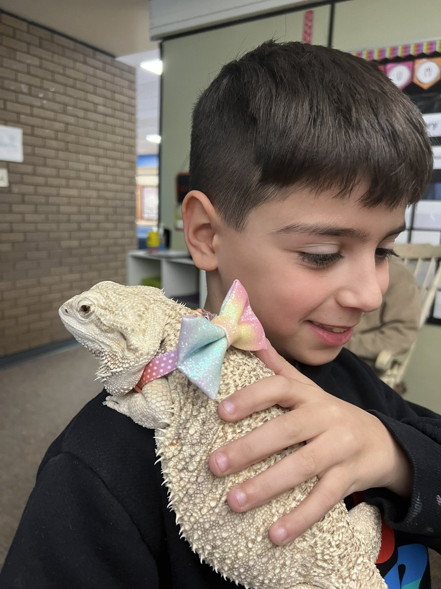 Kristen Lawrence tweet media