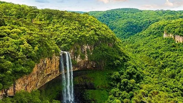 🔗 İklim değişikliği etkisi!

Nature dergisinde yayınlanan bir  araştırmaya göre Amazon Yağmur Ormanları’nın neredeyse yarısı kuraklık, ormansızlaşma ve yangınlar nedeniyle 2050’ye kadar yok olabilir.