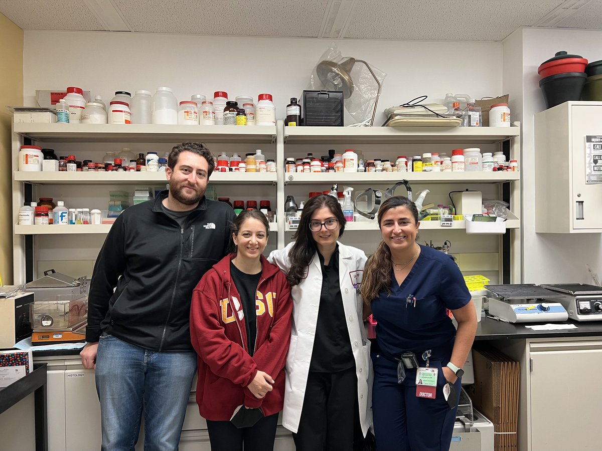 Lily Dara (@lilydaramd) on Twitter photo That wonderful feeling when your paper comes out on Valentine's Day! So proud of this team of young scientists studying Immune-mediated Liver Injury from Checkpoint Inhibitors❤️ nature.com/articles/s4141…
<a href="/LaylaShojaie/">Layla shojaie</a> <a href="/jacobbogdanovmd/">Jacob Bogdanov</a> <a href="/Dr1MahmoudGalal/">Mahmoud G. Mohamed, MD</a> <a href="/alavifardh/">Helia Alavifard</a> @aribaktash… That wonderful feeling when your paper comes out on Valentine's Day! So proud of this team of young scientists studying Immune-mediated Liver Injury from Checkpoint Inhibitors❤️ nature.com/articles/s4141…
<a href="/LaylaShojaie/">Layla shojaie</a> <a href="/jacobbogdanovmd/">Jacob Bogdanov</a> <a href="/Dr1MahmoudGalal/">Mahmoud G. Mohamed, MD</a> <a href="/alavifardh/">Helia Alavifard</a> @aribaktash…