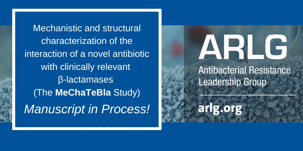 #ARLGnetwork researchers are preparing a manuscript for their MeChaTeBla study describing characteristics of the interaction between a novel #antibiotic & specific β-lactamases. Keep an eye out for updates: bit.ly/3u89zFd. #bacteria #antibioticresistance