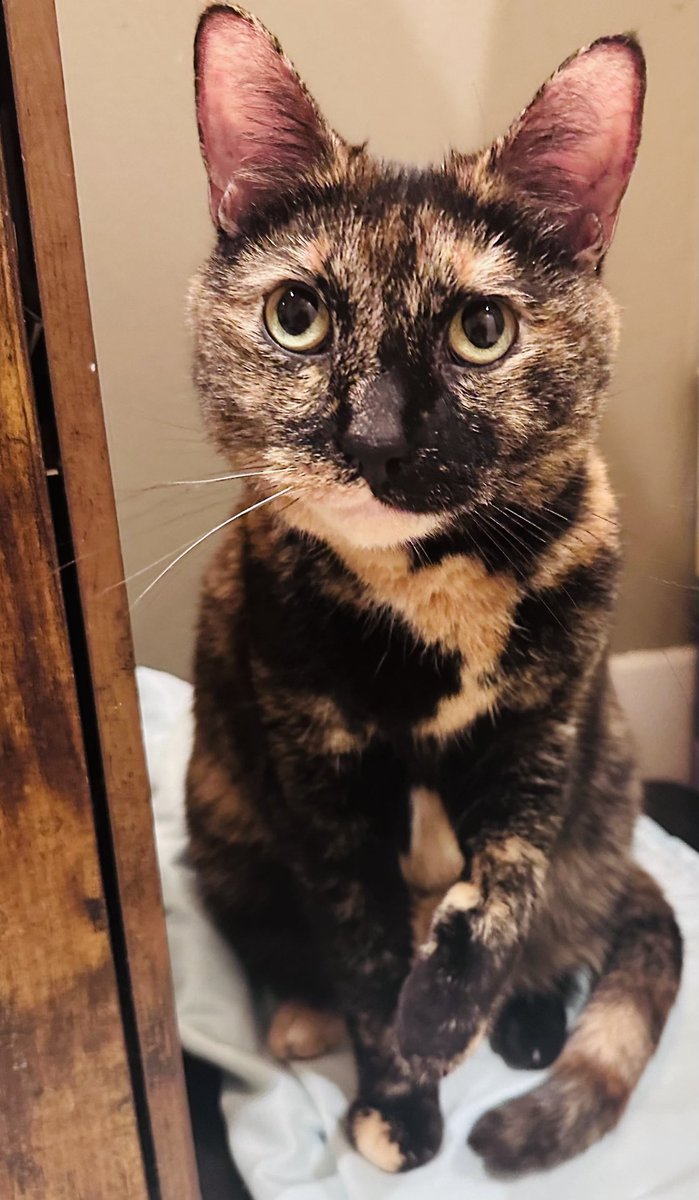 Tom and Lorenzo tweet media