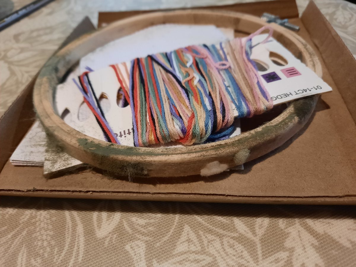 Fiona Osell tweet media