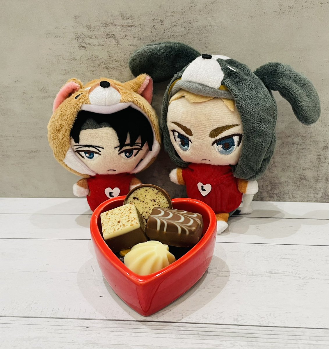 niwreivel's tweet photo. Happy Valentine’s Day!! ❤️❤️
#バレンタインエルリ
#エルリのバレンタイン
#EruriValentineweek https://t.co/wwUmmTjcy3