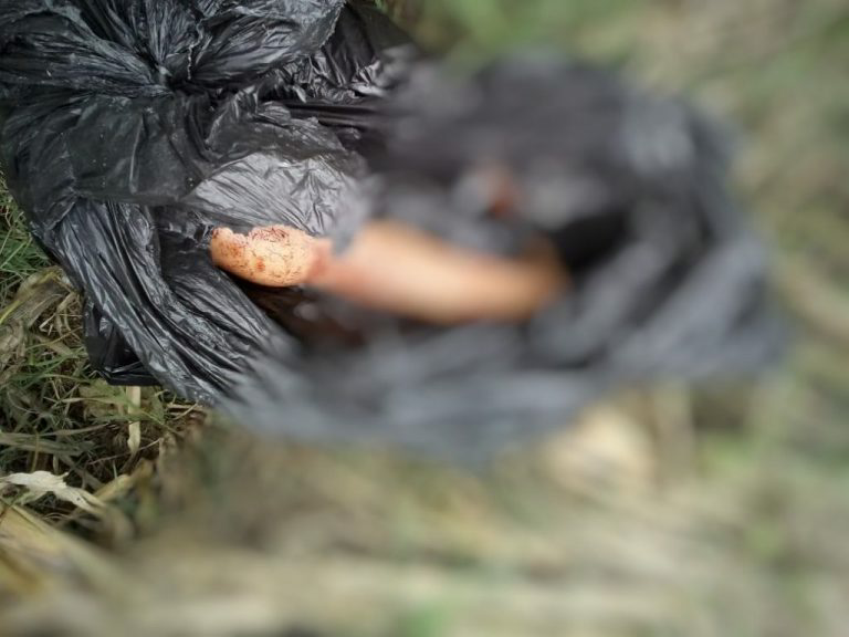 AlbertJulian13's tweet photo. 🚨Macabro: se encuentran restos humanos cerca ha ruca en santiago centro esto sucede en av.santa elvira con santiago concha @Carabdechile se encuentra en el lugar hoy cuadras más arriba en barrio franklin encontraron un cadáver en plena calle.RT (fr)@biobio https://t.co/J4lGVmX7MH