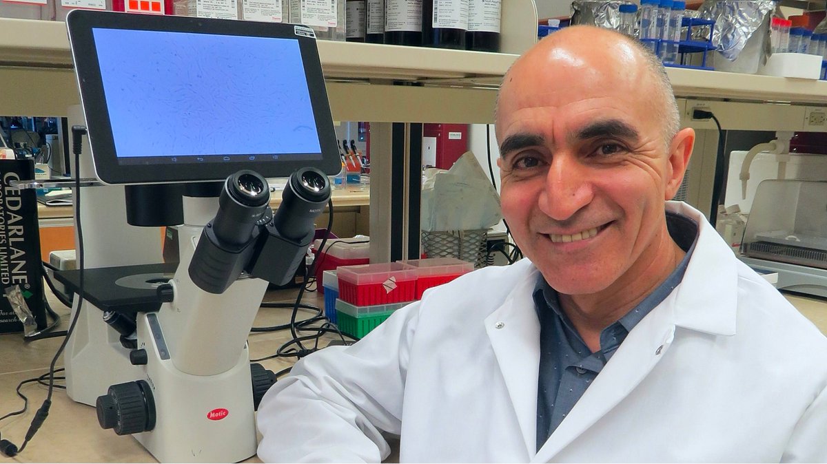 WCHRI member Shokrollah Elahi's team found that amino acid deficiencies are linked to chronic fatigue in long COVID patients. There is now the potential for targeted supplements to alleviate symptoms. Read more: ualberta.ca/folio/2024/02/…