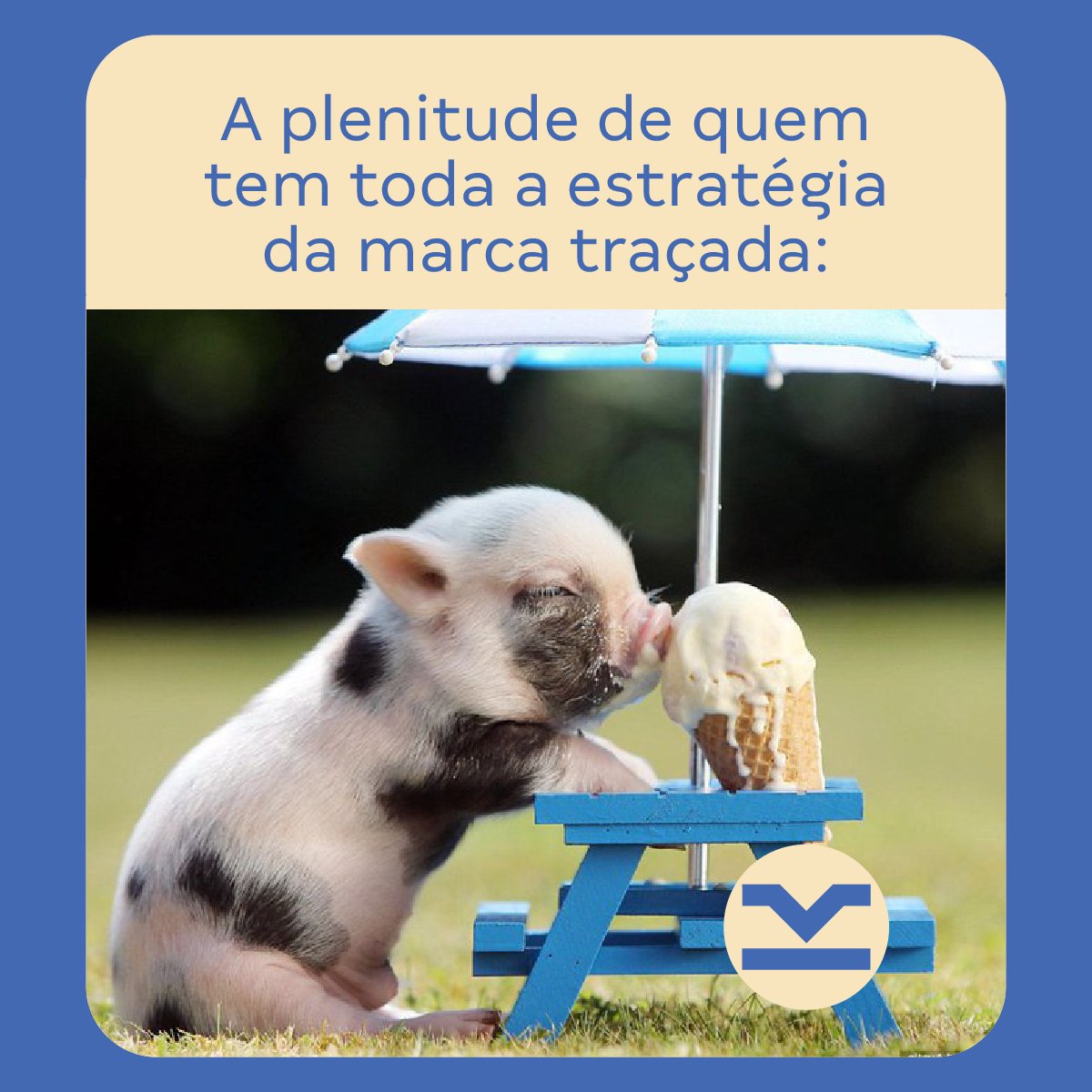deverasdesign's tweet photo. A gente não promete um porquinho fofo como esse, mas você vai amar o resultado!

Alguns serviços que oferecemos:

🔸 Criação de nomes (naming);
🔸 Identidade visual;
🔸 Embalagens e rótulos;
🔸 Gestão de redes sociais;
🔸 Sites;
🔸 Pacotes mensais de criativos.

#designdemarcas https://t.co/YTkFVYzpur