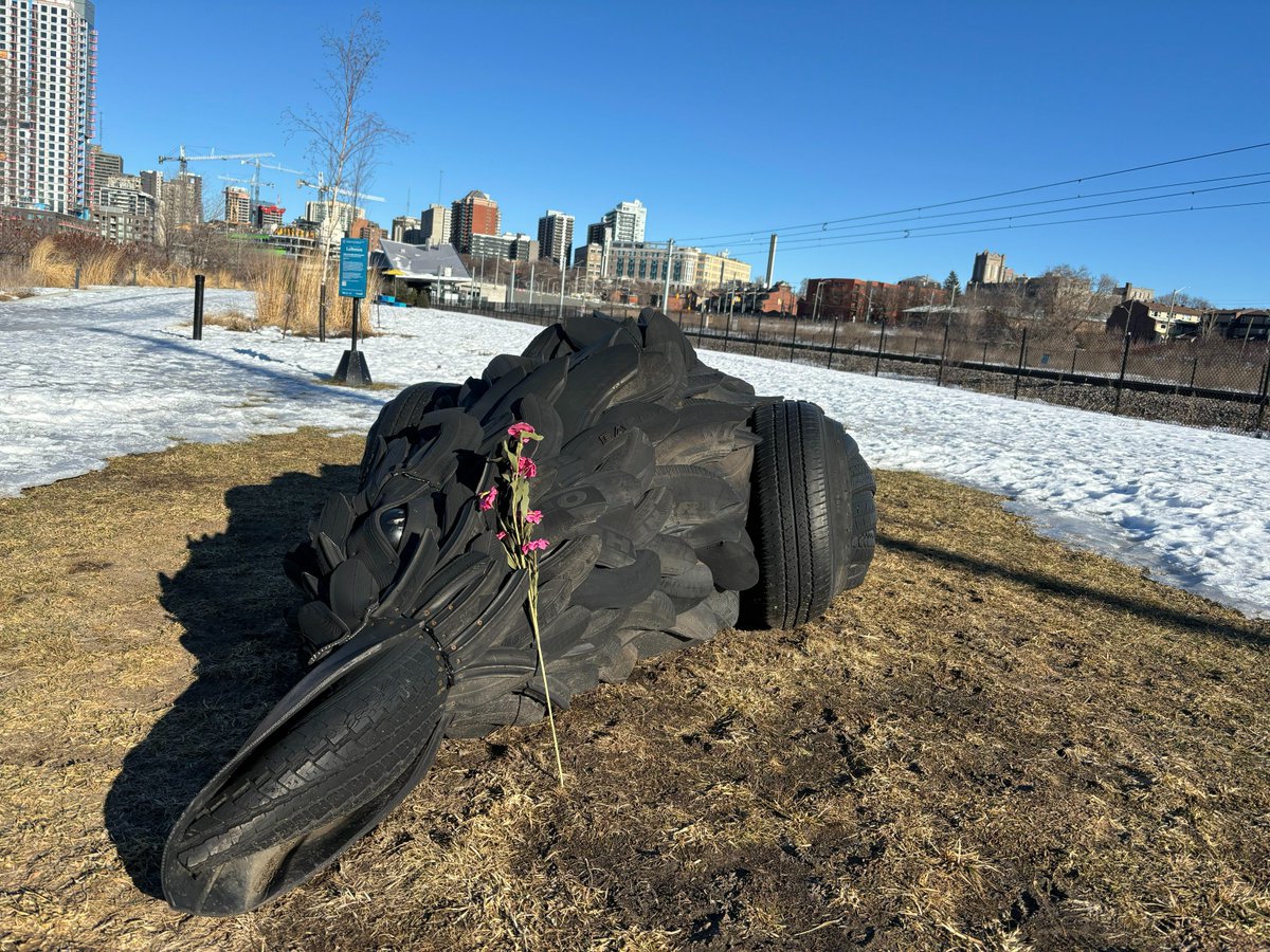 what if we kissed by the crow 👉👈