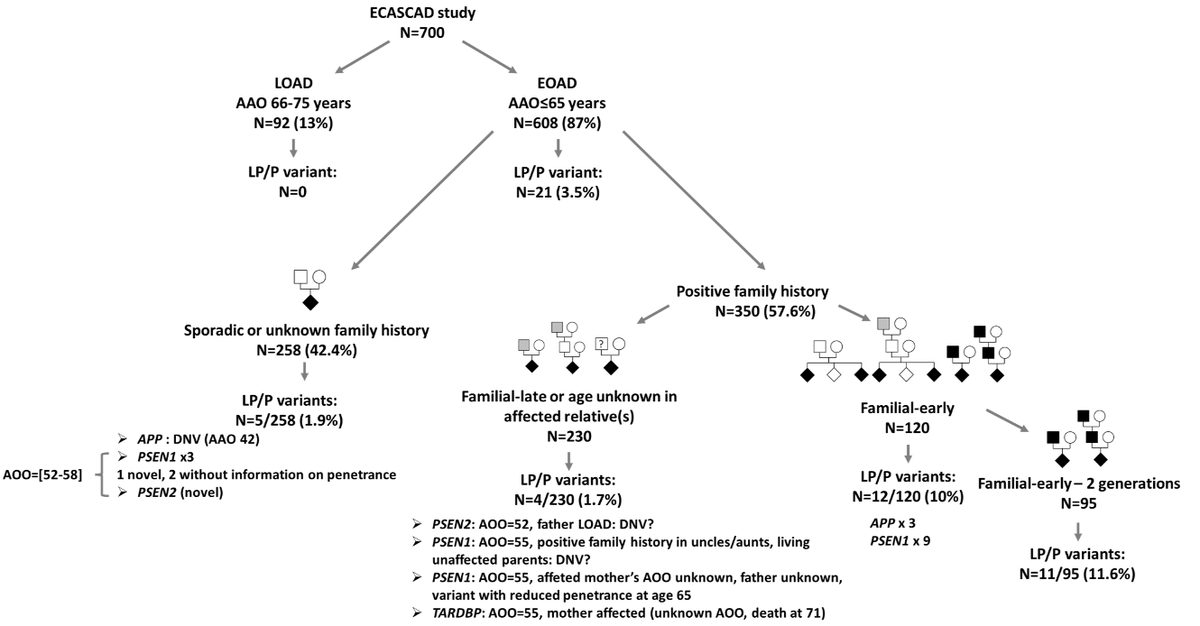 GIMJournal's tweet photo. Should genetic screening should be offered to all probands with #EOAD regardless of family history? https://t.co/ruYkht0f6G #Alzheimersdisease #riskvariant #clinicalutility @GJRNicolas https://t.co/rZFgknuX3P