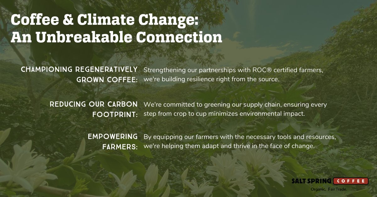 Facing climate change, the coffee industry must adapt. At Salt Spring Coffee, we're championing sustainability through regenerative farming and reducing our carbon footprint. Join us in brewing a future where coffee thrives and communities prosper ☕ #SustainableCoffee