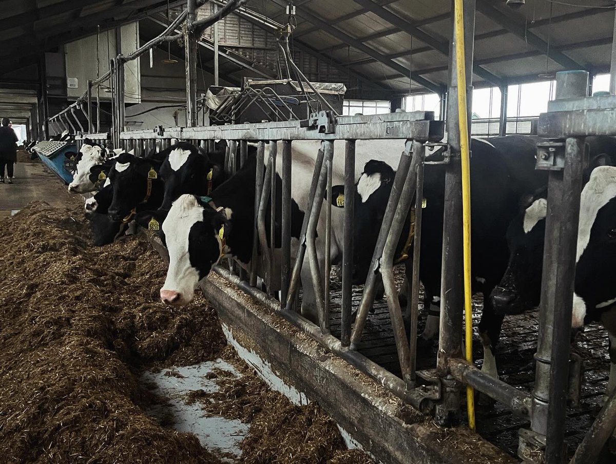 Vandaag was <a href="/psfryslan/">Provinsjale Steaten fan Fryslân</a> op werkbezoek bij Dairy Campus Leeuwarden. Dit is een onderzoek- en innovatiecentrum voor de melkveehouderij. Op het programma stonden o.a. een rondleiding en presentaties over het FPLG en de rol van innovatie en management bij het behalen van doelen.