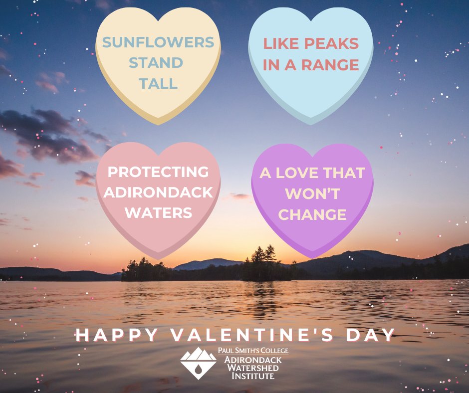 We love the Adirondacks and its precious waters, that's why it's our mission to protect those waters for everyone. Happy Valentine's Day!