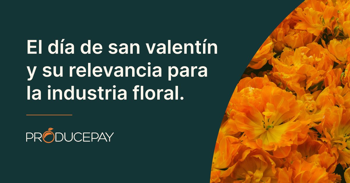 ProducePay_es's tweet photo. 💐❤️ San Valentín destaca en la industria floral, representando desafíos y un papel fundamental para Colombia. Descubre más en nuestro blog: https://t.co/FDXXw2w41J #SanValentín #TendenciasFlorales https://t.co/1px5zVankc