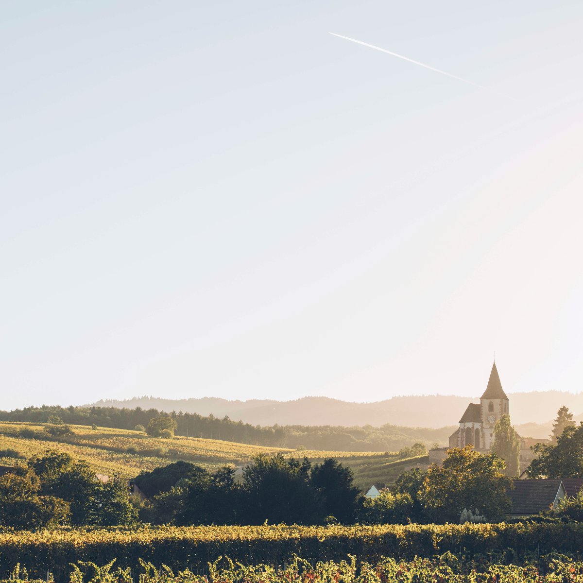 ADT_alsace's tweet photo. En ce jour des amoureux, c'est à l'Alsace que nous déclarons notre flamme 💘

Notre destination, son patrimoine, ses grands espaces, ses traditions, ses gourmandises... nous œuvrons chaque jour au sein d'Alsace Destination Tourisme par la faire rayonner ➡️https://t.co/yRtn5PCnWB https://t.co/pXAxhBndes