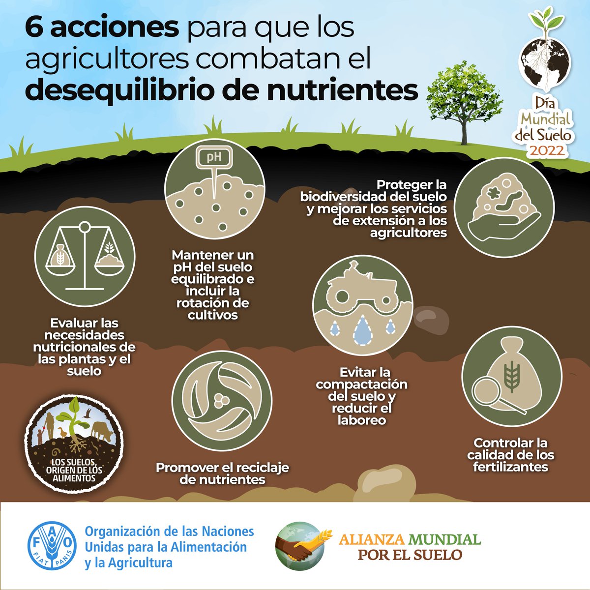 FAOAmericas's tweet photo. 🌱 Los suelos son el origen de nuestros #Alimentos.

🌳 Aquí hay 6 formas de prevenir el desequilibrio de nutrientes en los suelos 👇

¡Ayudanos a proteger los suelos y compartir esta información! 

#AcciónPorElSuelo https://t.co/lUHPuZM0NX