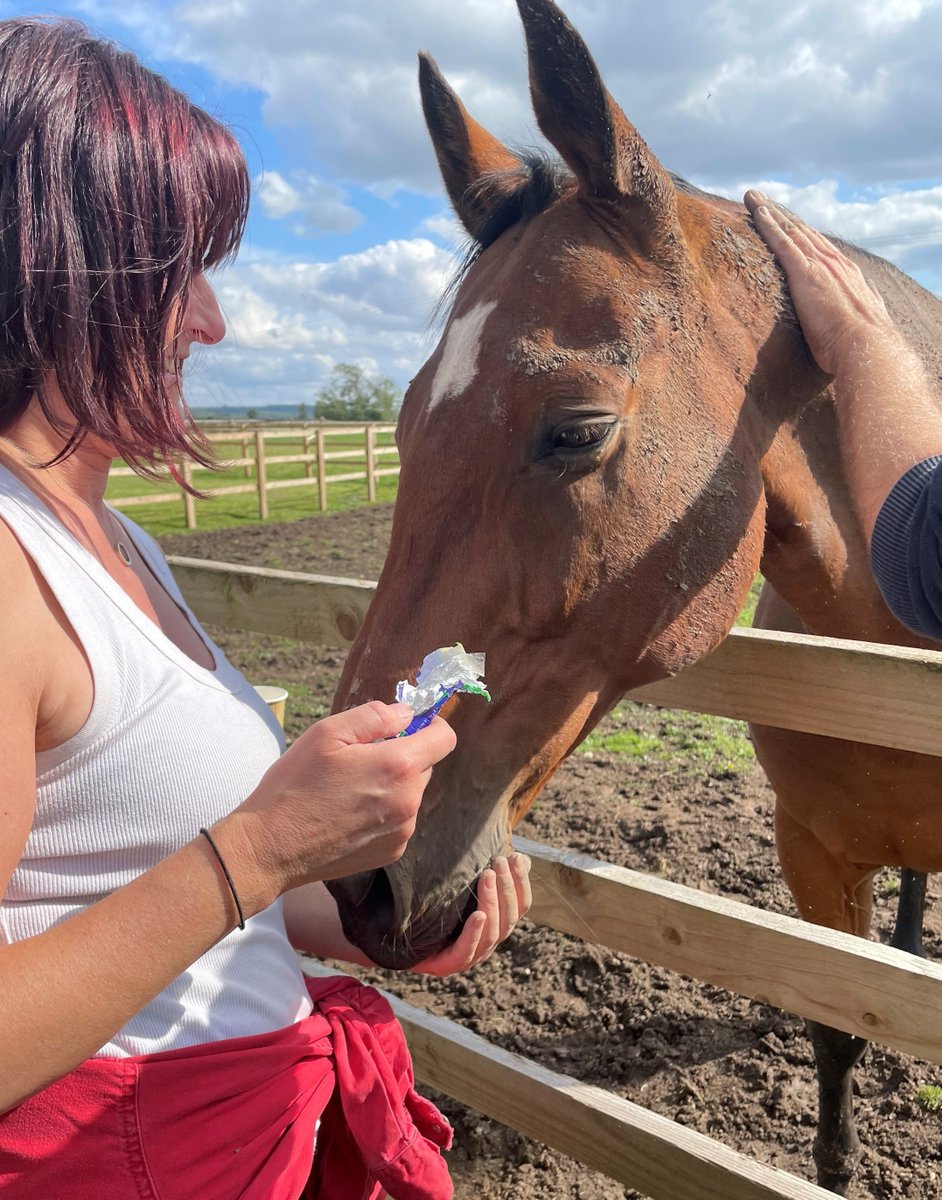 Happy Valentines Day ❤️ Don't forget to show Nico our Equine Ambassador & @NewBHorses some love, you'll find them here on our family racedays 🥰 Find out more about our 12 Months of Giving with New Beginnings bit.ly/3SE1IIX We love you Nico as much as you love polos!