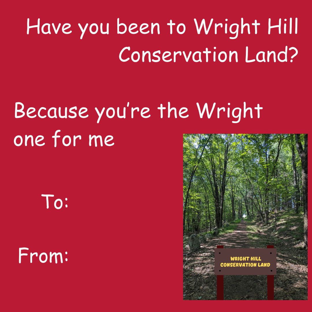 ActonMAGov's tweet photo. Looking for Valentine's Day ideas? Visit one of the 20+ Conservation Lands in Acton with your partner! You'll fall in love with nature and each other! Use these Valentine's Day cards to show off your love for local natural resources! #conservationland #ActonMA #valentinesday https://t.co/qdoXHXCivb