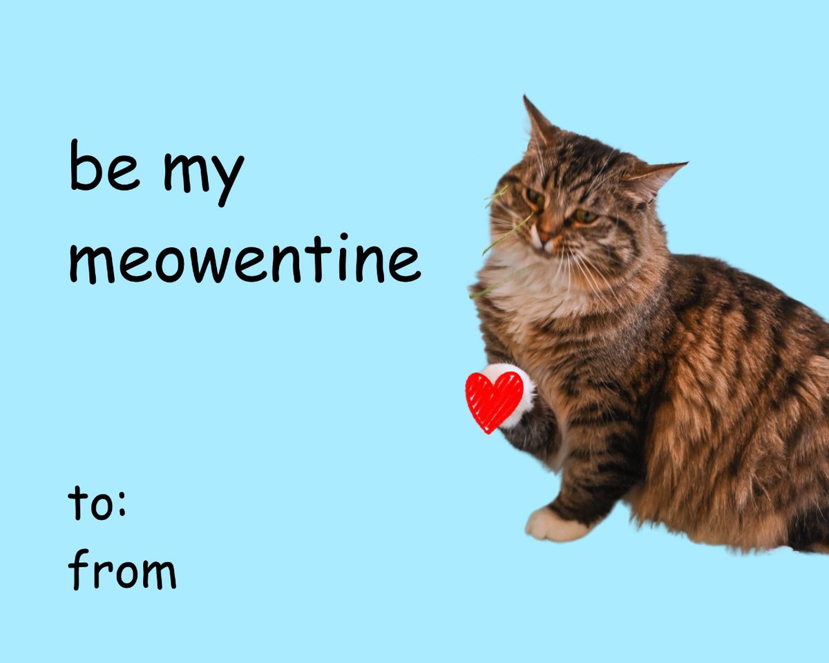 Happy Valentine's Day, furriends! 🧡🧡🧡

— Send a card to your cutie today! 💝
.
.
.
.
#valentinescard #cat #cats #catlover #catlovers #catrescue #adoptdontshop #catsofinstagram #adoptedcat #nashvillecatrescuealumni #valentine #valentinesday
