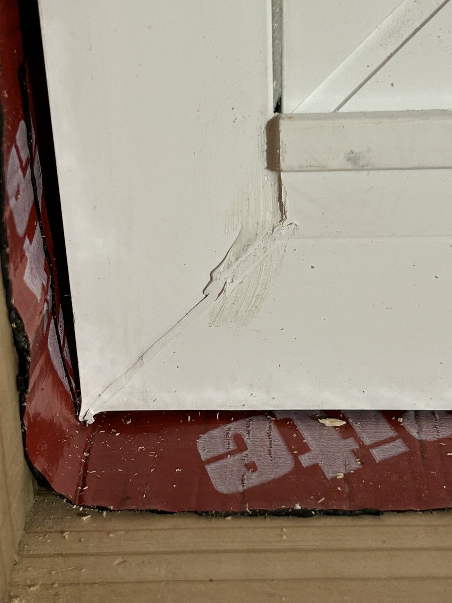 Mark Kawecki tweet media