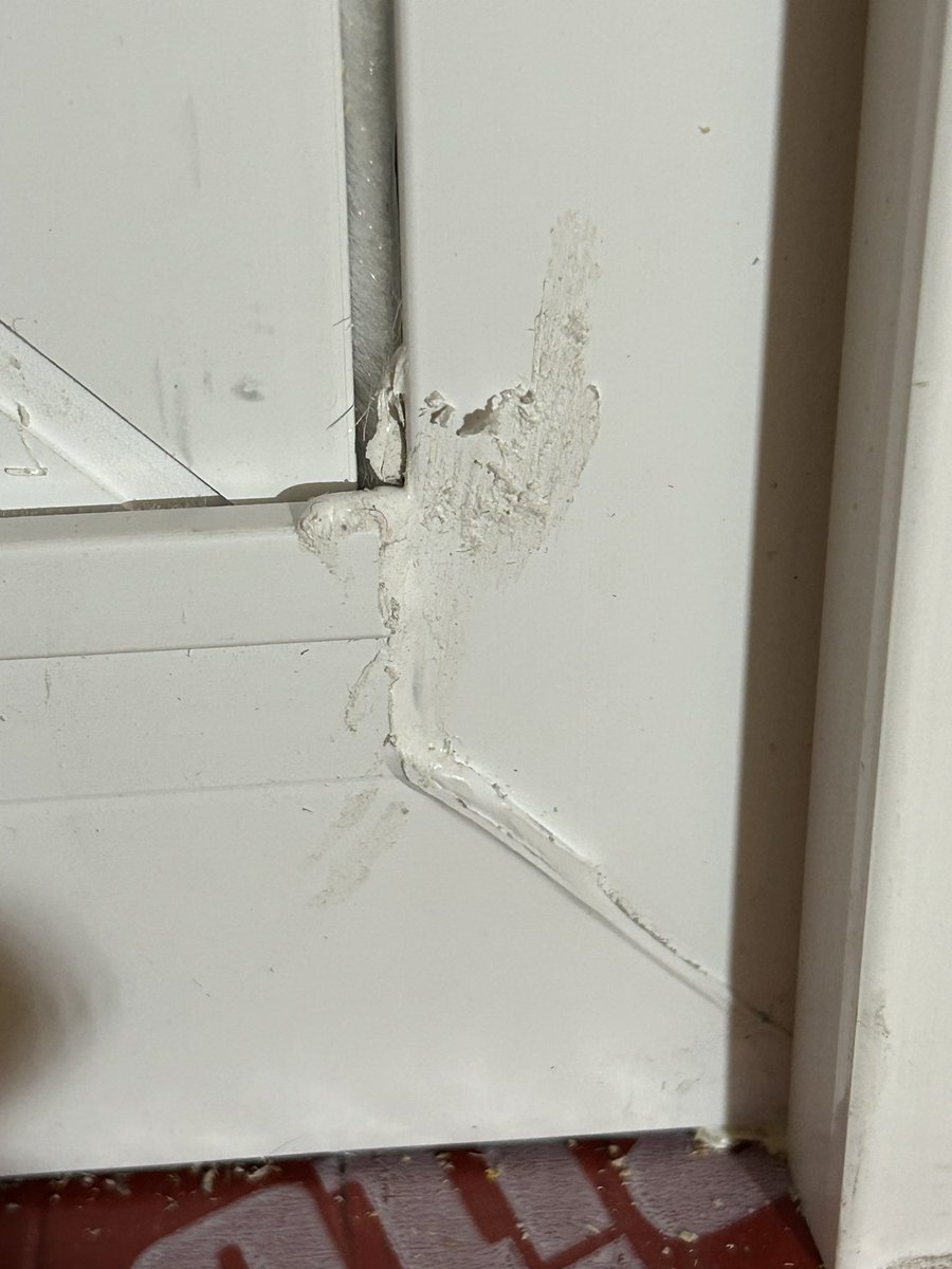 Mark Kawecki tweet media