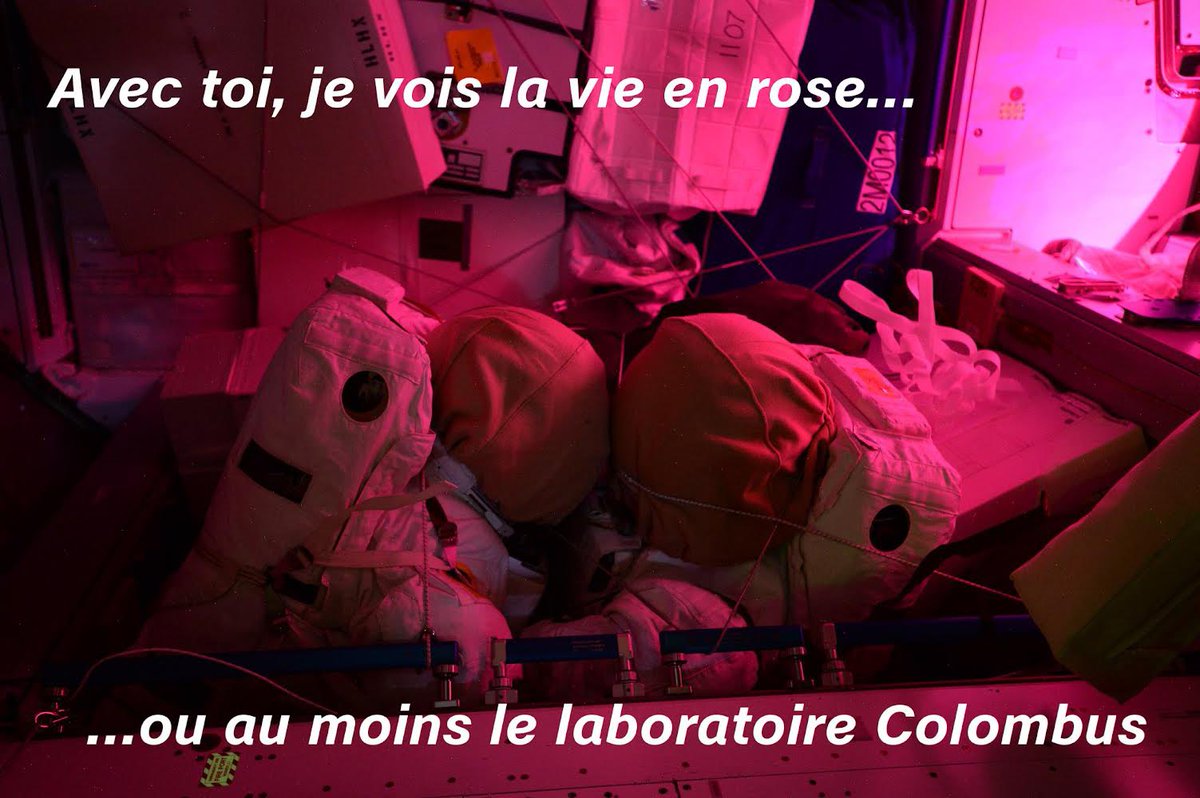 Être astronaute, c’est aussi devoir passer de nombreuses dates importantes loin de ses proches 😕, et devoir réaliser encore et encore que loin des yeux, ce n’est pas forcément loin du coeur 🫶. Alors si vous aussi vous avez besoin de célébrer la Saint-Valentin de (très) loin,