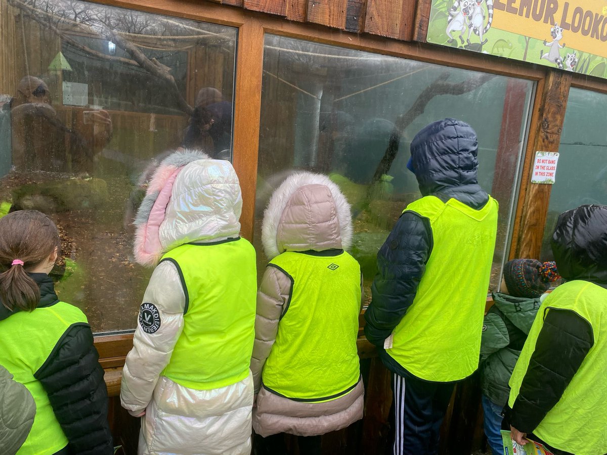 🐮The young people had a great time at Smithills Open Farm today where they got to meet the animals and even saw 2️⃣ calves be born!

#BRCTInclusion #BRCTYouthEngagement