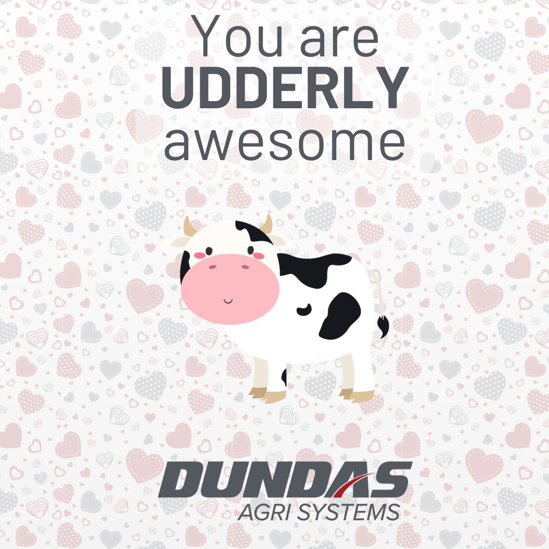 Happy Valentine's Day 🐄❤️