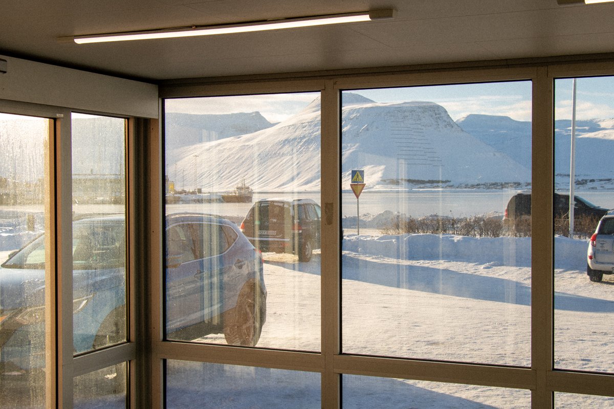 TraustiGPT tweet media