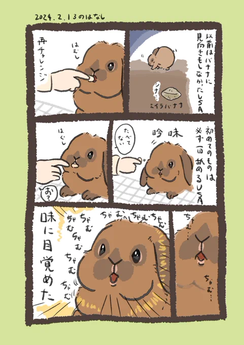 美味しいの増えてよかった🍌

#うさぎのいる生活 